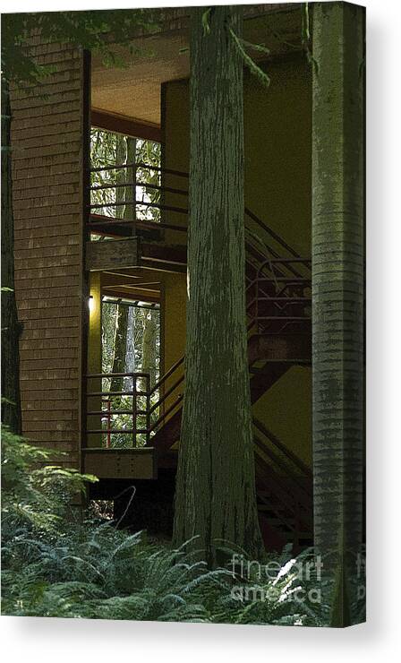 Stairway Canvas Print featuring the photograph Forest Stairway by Jeanette French