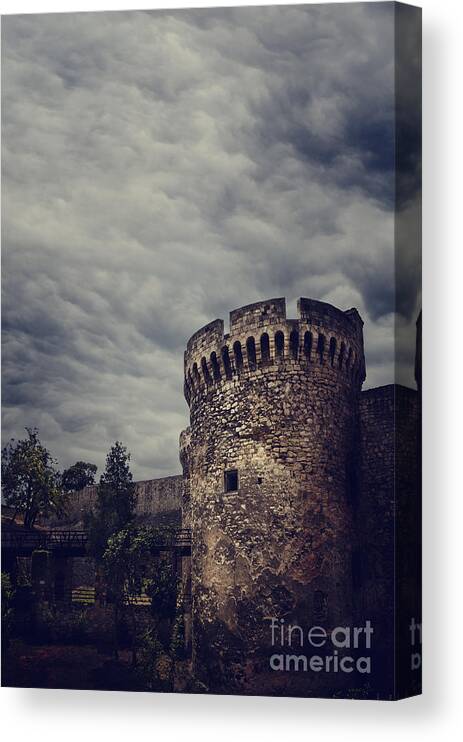 Fort Canvas Print featuring the photograph Fortress by Jelena Jovanovic