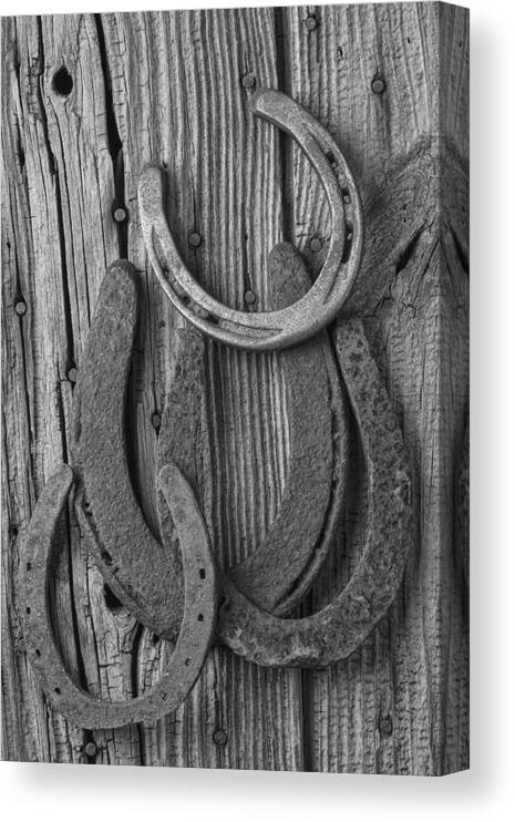 Four Horseshoes Canvas Print featuring the photograph Four Horseshoes by Garry Gay