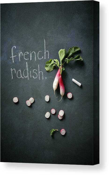 Education Canvas Print featuring the photograph French Radishes by Lew Robertson