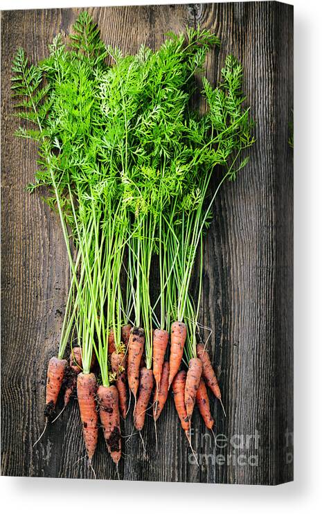 Carrots Canvas Print featuring the photograph Fresh carrots by Elena Elisseeva