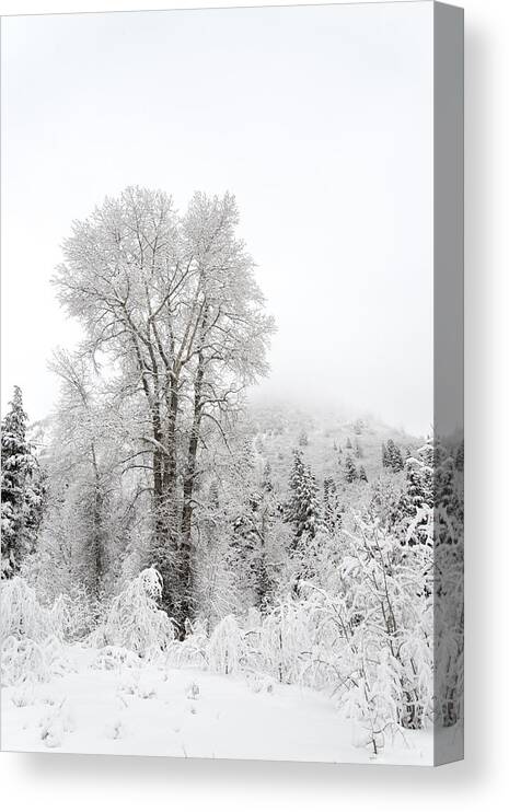 Winter Canvas Print featuring the photograph Frozen Giant by Dustin LeFevre