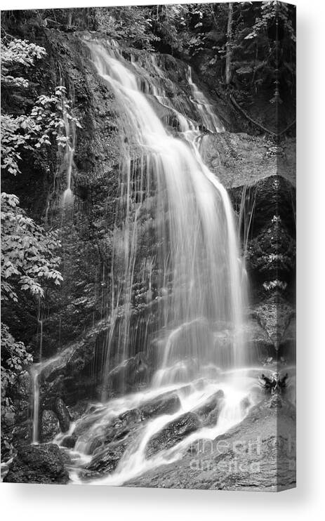 Fuller Falls Canvas Print featuring the photograph Fuller Falls Waterfall Black and White by Glenn Gordon