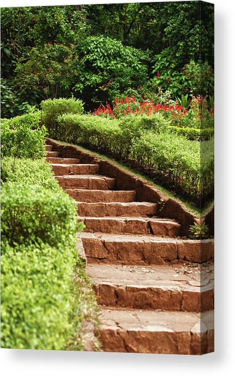 Flowerbed Canvas Print featuring the photograph Garden by Marcomarchi