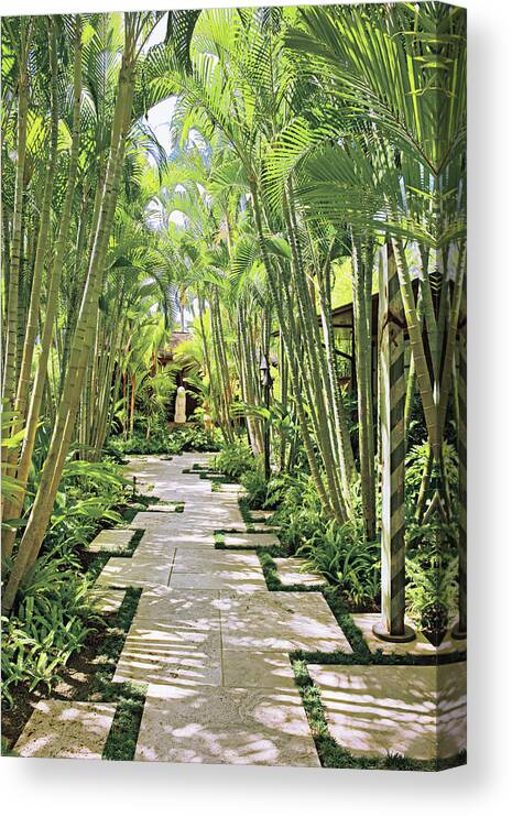No People Canvas Print featuring the photograph Garden Path And Palm Trees by Mary E. Nichols
