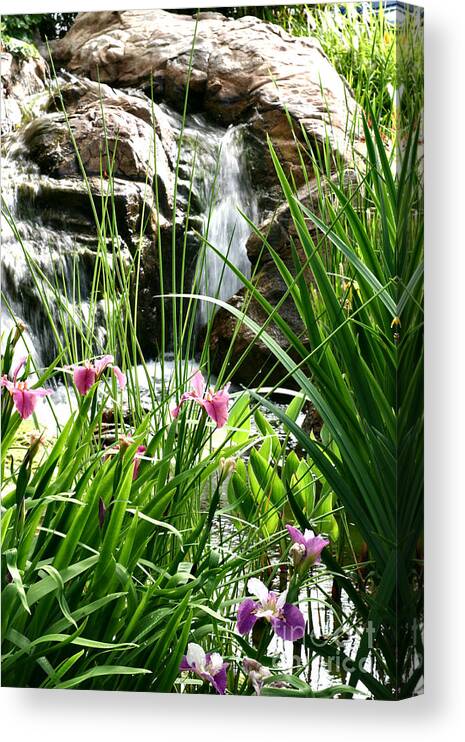 Waterfall Canvas Print featuring the photograph Garden Waterfall by Pattie Calfy