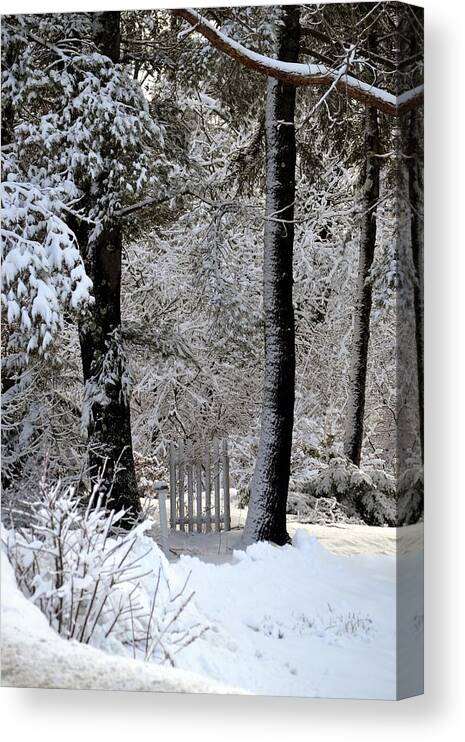 Gate Canvas Print featuring the photograph Gate in the Woods by Nina-Rosa Dudy
