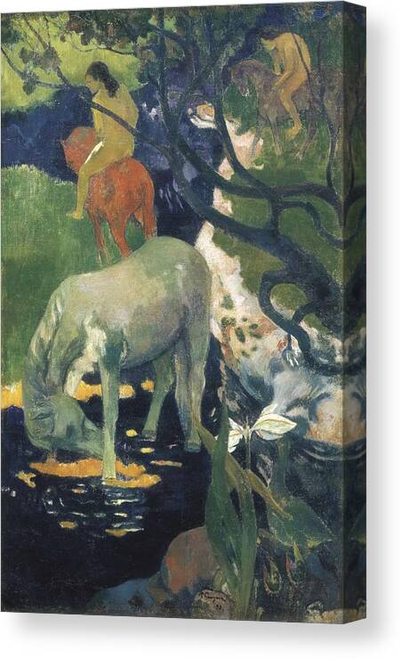Vertical Canvas Print featuring the photograph Gauguin, Paul 1848-1903. The White by Everett