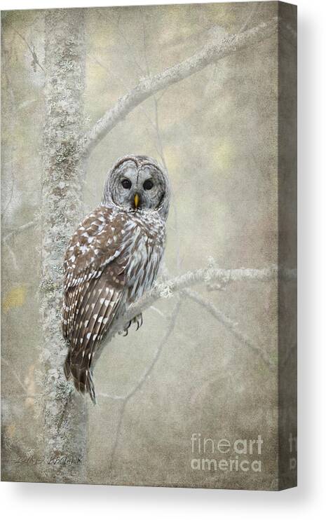 Bird Of Prey Canvas Print featuring the photograph Guardian of the Woods by Beve Brown-Clark Photography