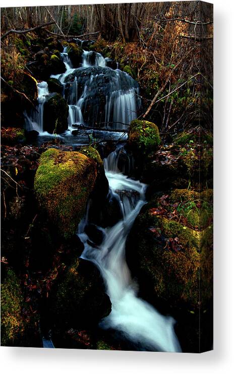 Stream Canvas Print featuring the photograph Gentle Descent by Jeremy Rhoades