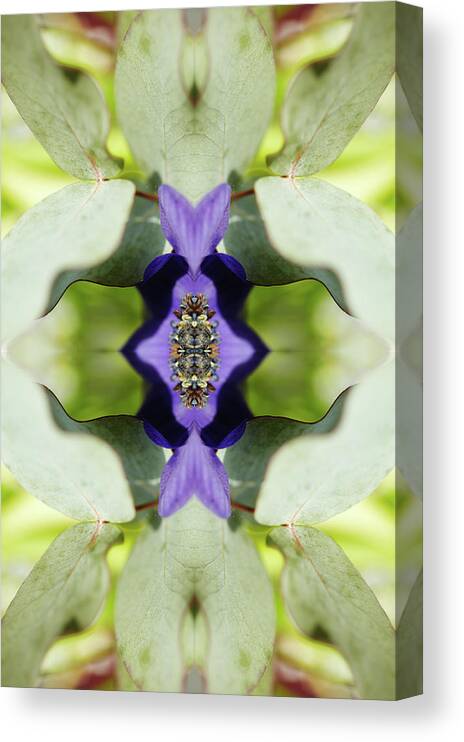 Tranquility Canvas Print featuring the photograph Gerbera Flower by Silvia Otte