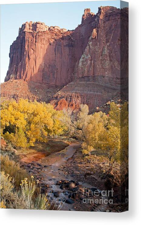Autumn Canvas Print featuring the photograph Gifford Farm Capitol Reef National Park by Fred Stearns