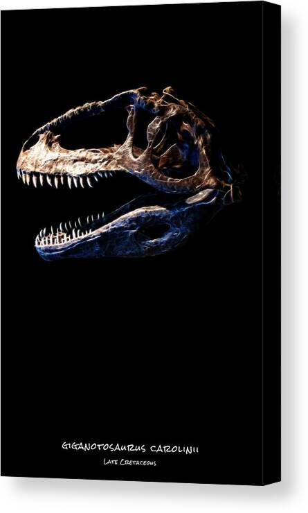 Giganotosaurus Carolinii Skull Canvas Print featuring the photograph Giganotosaurus Skull 2 by Weston Westmoreland