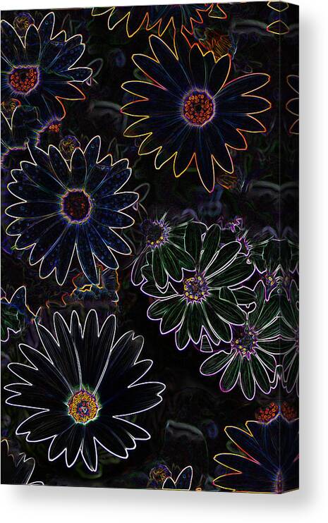 Flowers Canvas Print featuring the photograph Glowing Daisies by Jim Baker