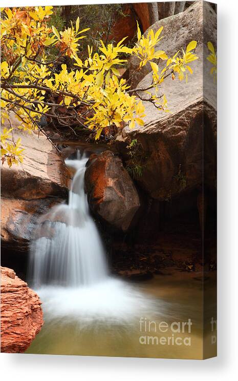 Landscape Canvas Print featuring the photograph Golden Fall by Bill Singleton