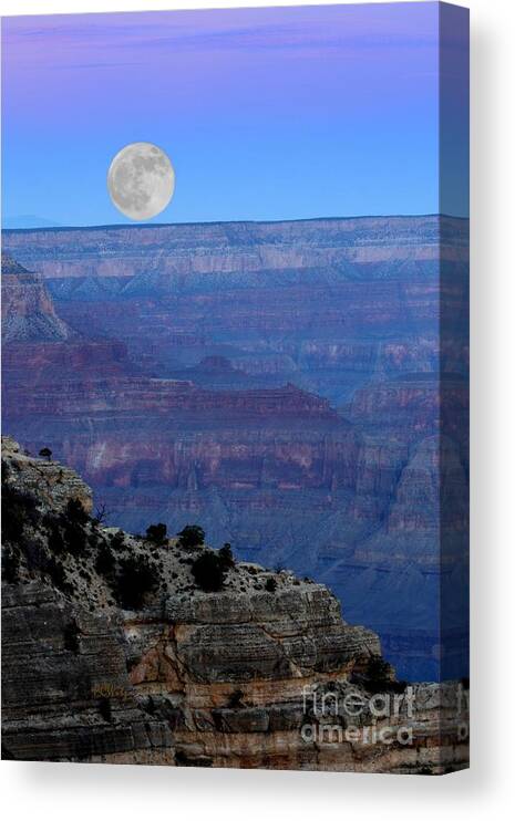 Good Night Moon Canvas Print featuring the photograph Good Night Moon by Patrick Witz