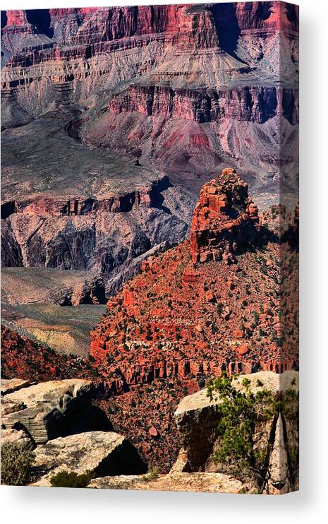 Grand Canyon Canvas Print featuring the photograph Grand Canyon 6 by Robert McCubbin