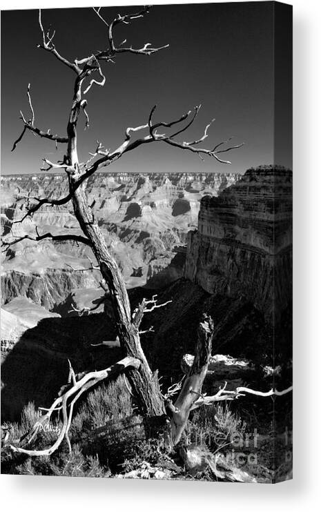 Grand Canyon Bw Canvas Print featuring the photograph Grand Canyon BW by Patrick Witz