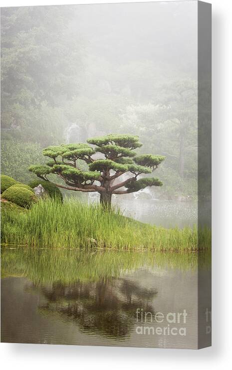 Grant Me Serenity Canvas Print featuring the photograph Grant Me Serenity by Patty Colabuono