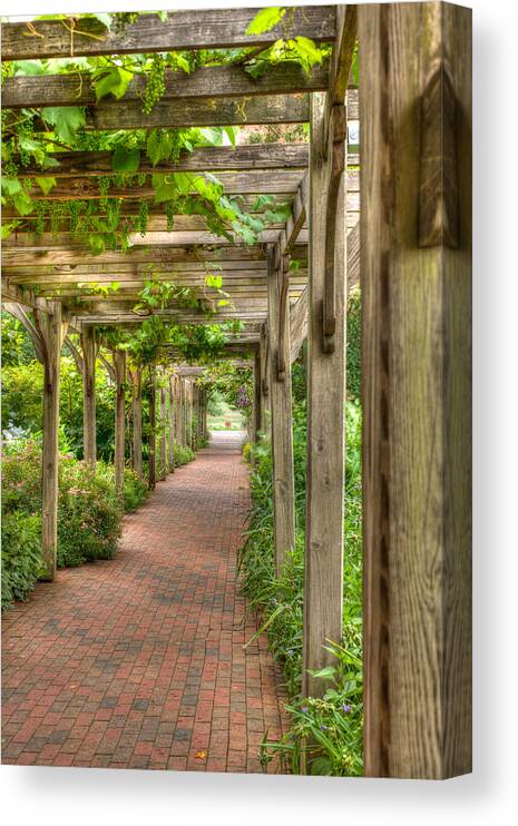 Grape Vines Canvas Print featuring the photograph Grape Vines by John Magyar Photography