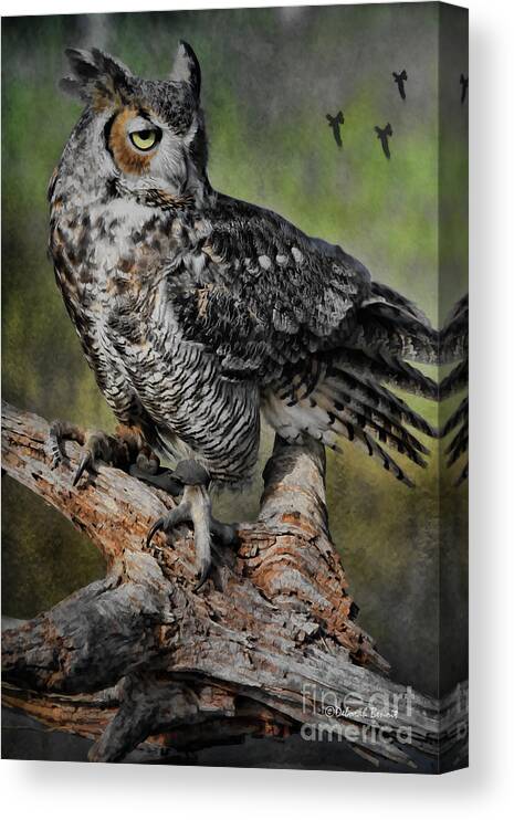 Owl Canvas Print featuring the photograph Great Horned Owl on Branch by Deborah Benoit