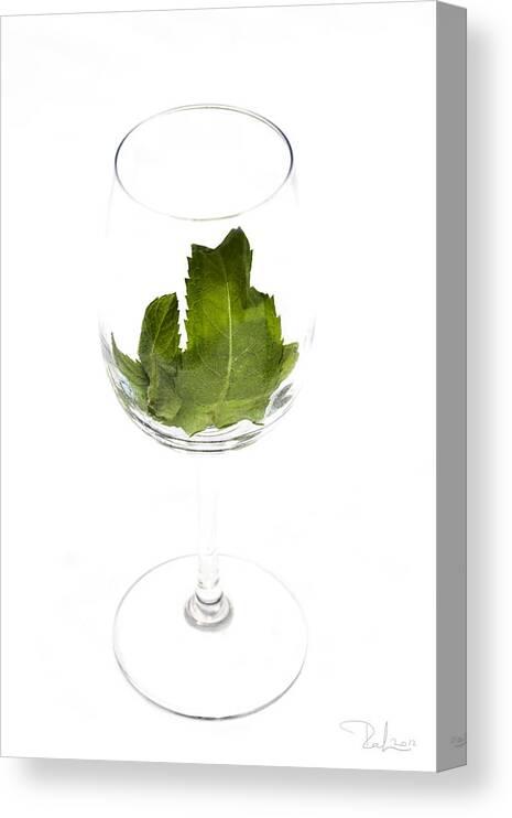 Glass Canvas Print featuring the photograph Green drink by Raffaella Lunelli