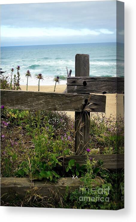Beach Canvas Print featuring the photograph Greetings from San Francisco by Ellen Cotton