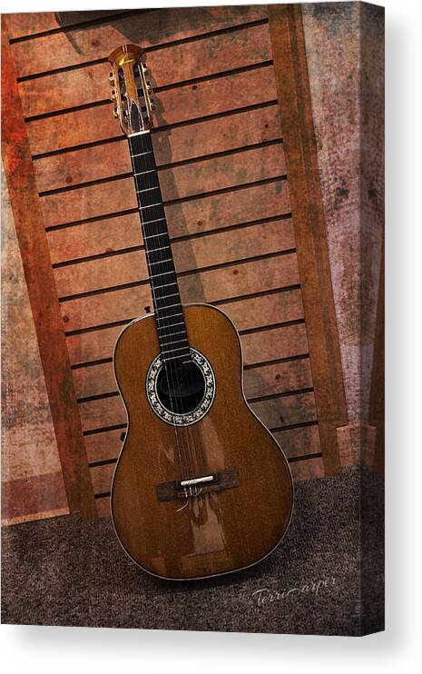 Guitar Canvas Print featuring the photograph Guitar Solo by Terri Harper