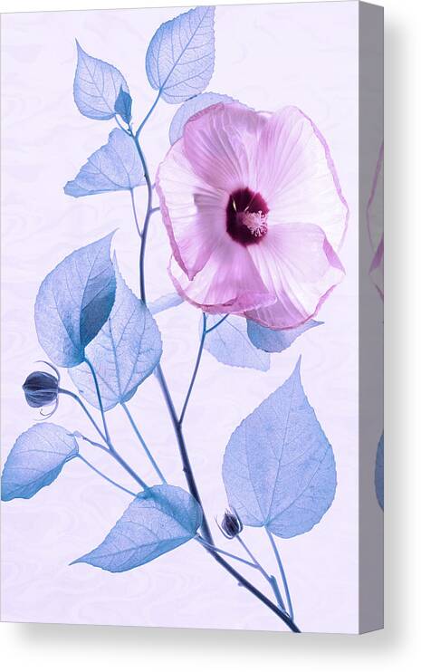 Hibiscus Canvas Print featuring the photograph Happy Hibiscus by Leda Robertson