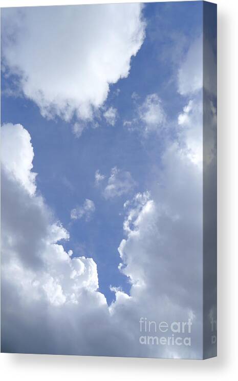 Heart Canvas Print featuring the photograph heART cloud by Nora Boghossian