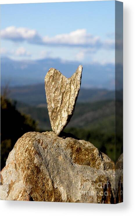 Heart Canvas Print featuring the photograph Heart on a Journey by Lainie Wrightson