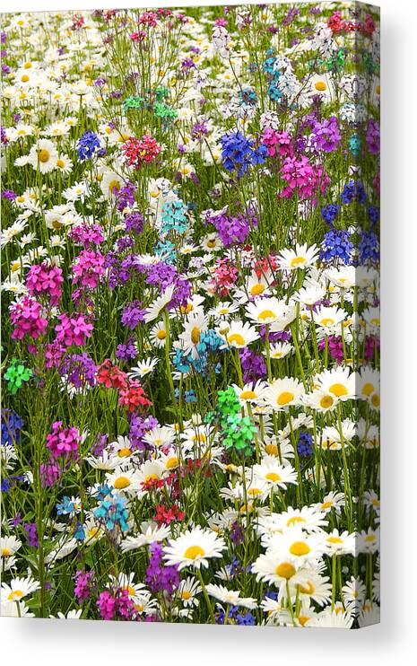 Flower Canvas Print featuring the photograph Heavenly Flowers 2 by Larry Landolfi