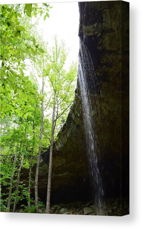 Waterfall Canvas Print featuring the photograph Hideout Hollow 2 by Laureen Murtha Menzl