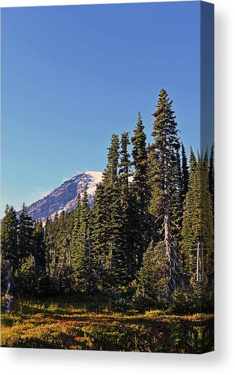 Fall Canvas Print featuring the photograph High Country by Anthony Baatz