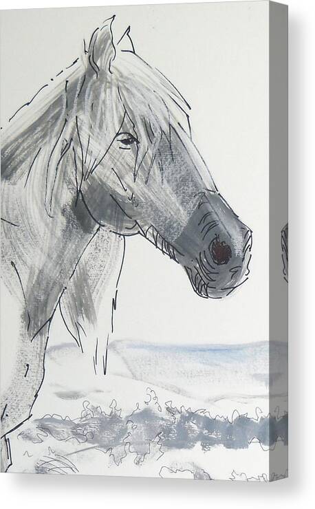 White Canvas Print featuring the painting Horse Head Drawing by Mike Jory