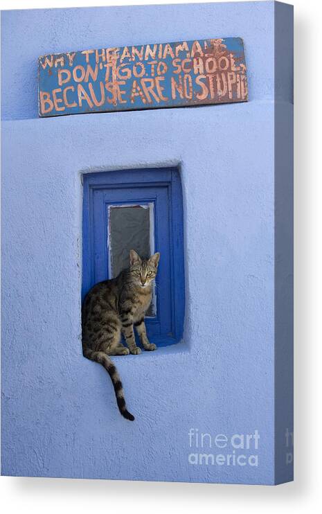 Cat Canvas Print featuring the photograph Humorous Cat Sign by Jean-Louis Klein and Marie-Luce Hubert
