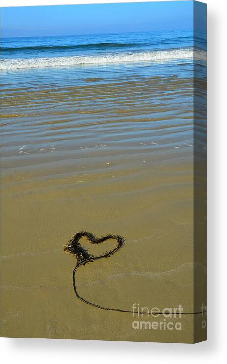 Pismo Beach Canvas Print featuring the photograph I Love The Ocean by Debra Thompson