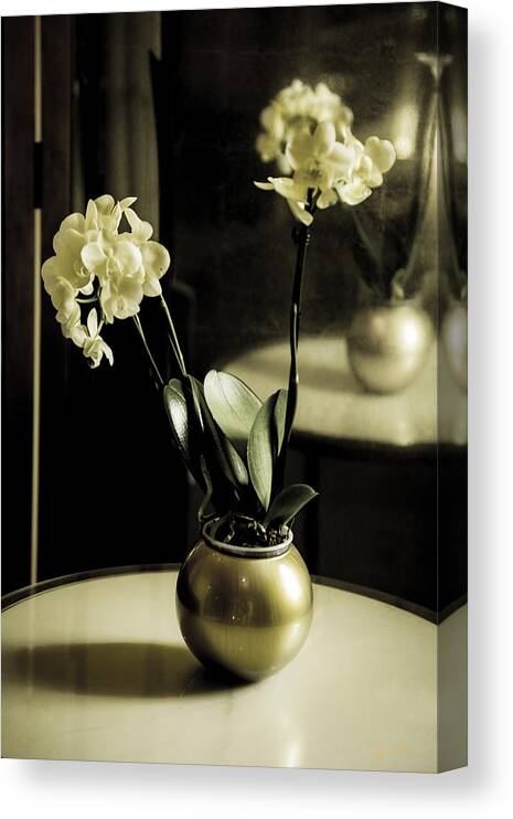 Flowers Canvas Print featuring the photograph Delicate Reflection by Madeline Ellis