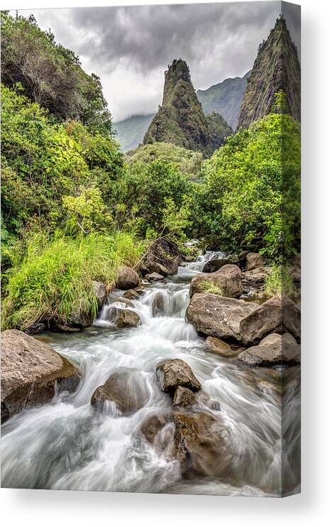 Iao Canvas Print featuring the photograph Iao Valley Maui by Pierre Leclerc Photography