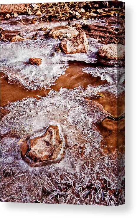 Landscape Canvas Print featuring the photograph Icey Stream by Christopher Holmes