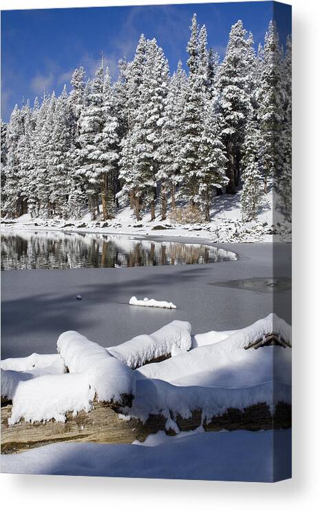 Snow Canvas Print featuring the photograph Icy Cold by Chris Brannen