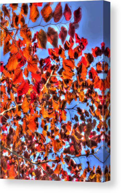  Canvas Print featuring the photograph Impressions Of Autumn by Heidi Smith