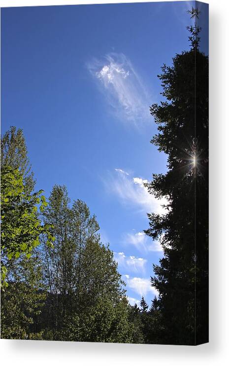 Clouds Canvas Print featuring the photograph In the Clouds by Tim Rice