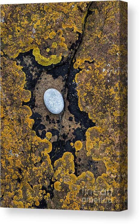 Sandstone Canvas Print featuring the photograph In the Eye of the Stone by Tim Gainey