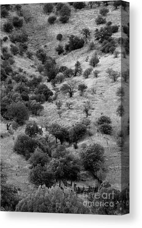 Photography Canvas Print featuring the photograph In the Valley Below by Vicki Pelham