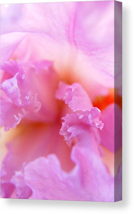 By Jana Russon Canvas Print featuring the photograph Inner Iris-2of4 by Jana Russon