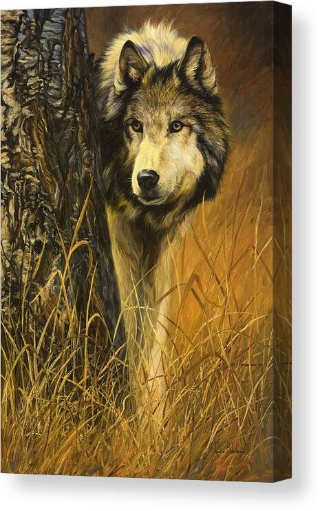 Wolf Canvas Print featuring the painting Interested by Lucie Bilodeau
