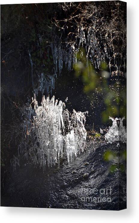 Icicles Canvas Print featuring the photograph Intriguing Icicles in Yosemite by Debra Thompson