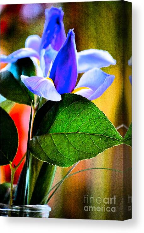 Iris Canvas Print featuring the photograph Iris Carried Away by Gwyn Newcombe