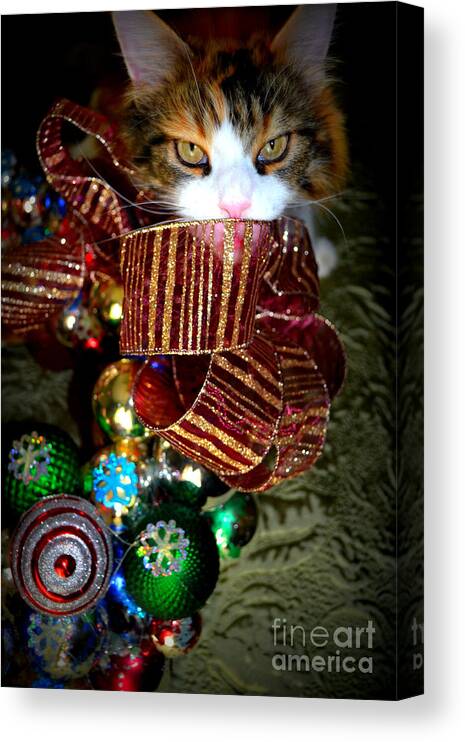 Christmas Canvas Print featuring the photograph Jazzy Xmas by Diane montana Jansson